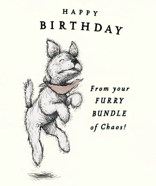 Preview of Furry Chaos Birthday Dog